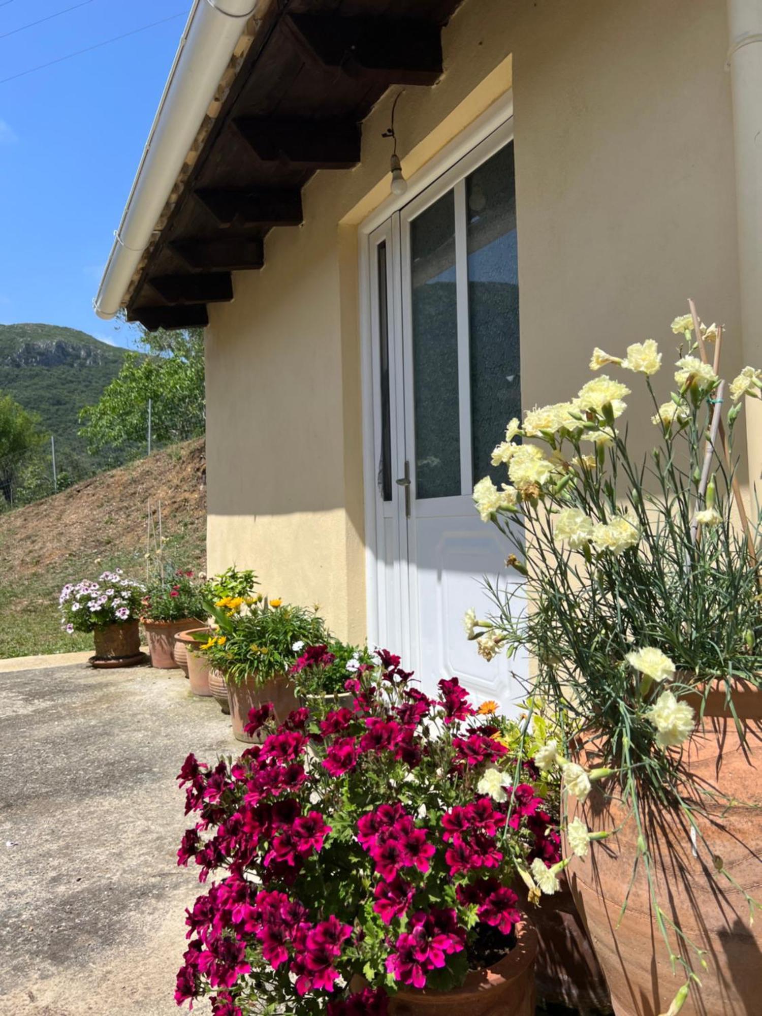 Villa Alexakis Doukades Экстерьер фото